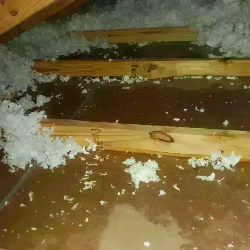 Attic Water Damage in Bayonne, NJ