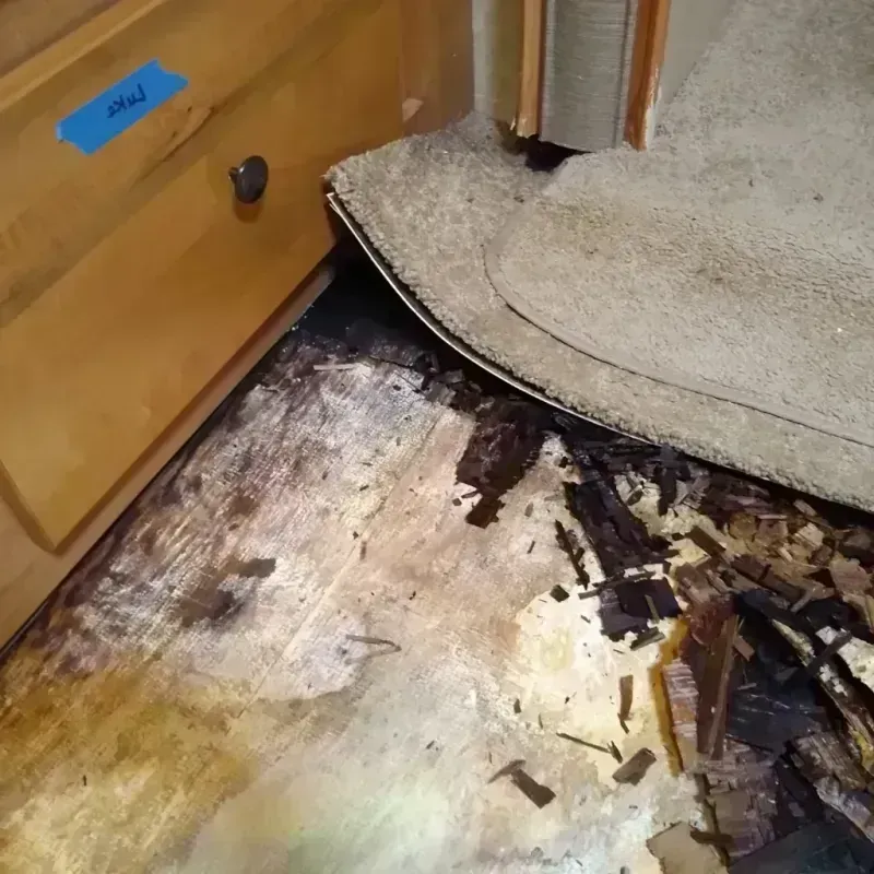 Wood Floor Water Damage in Bayonne, NJ